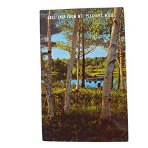 Postcard Greetings From Mt Pleasant Michigan Placid Waters Birch Lined Shores - £5.53 GBP