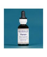 Pure Herbs: Plantain - 1 oz. (Natural Herbal Extracts) - $29.60