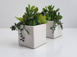 Set of 2 Mini Artificial Succulent Fake Plants Ceramic White Planter Pot 4x4x7&quot; - £12.69 GBP