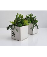 Set of 2 Mini Artificial Succulent Fake Plants Ceramic White Planter Pot... - $21.66 CAD