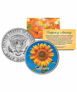 SUNFLOWER PLANT JFK Kennedy Half Dollar US Colorized Coin - €10,43 EUR