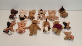 Assorted Ty Authentic Beanie Babies Various Classic Plush Animals and Be... - $2,284.74 MXN