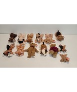 Assorted Ty Authentic Beanie Babies Various Classic Plush Animals and Be... - $2,284.53 MXN
