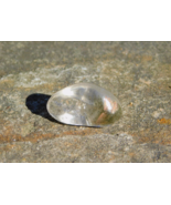 Lodolite Scenic World Clear Quartz Crystal Shamanic Dreamstone Chlorite ... - $16.46 CAD