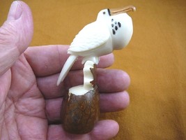 (TNE-BIR-FR-293) white Frigate Man of war pirate bird TAGUA NUT figurine... - $26.61