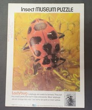 Vintage Scholastic Puzzle 1984 Insect Museum  Ladybug - $9.50