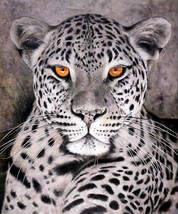 40x50 inches Leopard Oil Painting Canvas Art Wall Decor modern01D - £639.48 GBP
