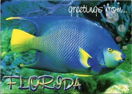 Greetings from Florida Postcard PC579 - £3.92 GBP