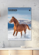 Horses Calendar 2026 - $19.99