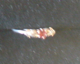 Garnet Cut Stone on Sterling Silver Band SZ 8.5 - $3.50
