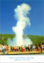 Postcard Old Faithful Geyser Yellowstone National Park #26131 4 x 6 In. Unposted - £3.94 GBP