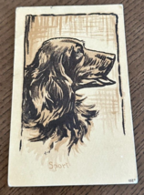Vintage Dog Puppy English Setter(?) postcard Sport #1027 - $111.07 MXN