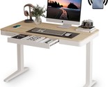 Standing Desk With Drawer And Wireless Charging,48X24 Inch Dual Motor St... - $555.99