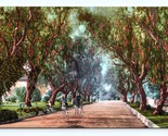 Marengo Avenue Street Vue Pasadena California Ca Unp DB Carte Postale P15 - $4.04