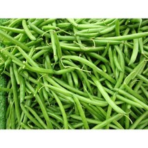 USA Seller Volunteer Half Runner Bean Green Been Seeds Fast Shipping - £12.55 GBP