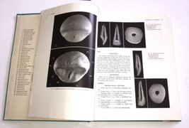 A Study of the Masticatory System Dental Anatomy and Occlusion 1969 HC   - £11.08 GBP