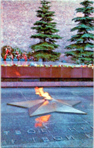 Postcard Moscow Kremlin Tomb of the Unknown Soldier Unposted  1979 5.5 x3.5&quot; - £4.68 GBP