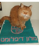 Souvienir bath shower floor mat from &quot;Diplomat Hotel&quot; Jerusalem, ISRAEL - $27.34 CAD
