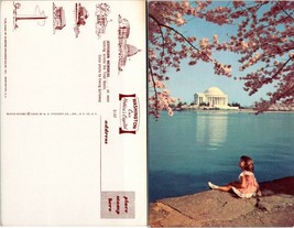 Washington D.C. Jefferson Memorial From Looking Across Tidal Basin VTG Postcard - £7.38 GBP