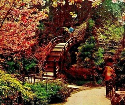 Japanese Tea Garden Golden Gate Park San Francisco CA California Chrome Postcard - £3.07 GBP