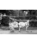 Goat Pulls Young Boys Cart in the Tacoma Festival - Art Print - £17.30 GBP+