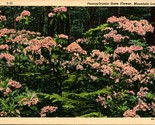Lot of 2 Vtg Linen Postcards - Pennsylvania State Flower - Mountain Laur... - $4.90