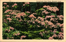 Lot of 2 Vtg Linen Postcards - Pennsylvania State Flower - Mountain Laurel UNP - £3.84 GBP