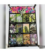 Americas Most Wanted Cannabis Large Wall Poster College Collection 24x36... - $313.92 MXN