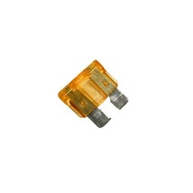 Raypak 013733F 5A Fuse for Heater - $26.71