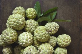 Custard Sugar Apple {Annona Squamosa} 10 Tree Seeds Non-Gmo Tropical Fruit Sweet - £7.91 GBP