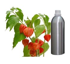 Organic Pure Ashwagandha Essential Oil Therapeutic Aromatherapy 30ml - 500 ml - £13.61 GBP+