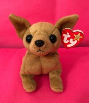 Ty Beanie Baby Tiny The Chihuahua Dog With 3 Errors *Rare*, Excellent Condition! - £548.30 GBP