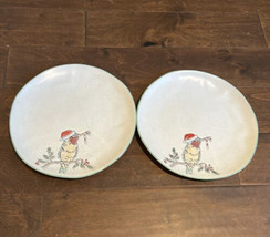 Eli &amp; Ana Set Of 2 Christmas Hummingbird Santa Hat Dinner Plates Candy Cane - $39.99