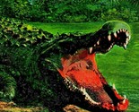 Large Alligator Open Mouth Rio Bayano River Panama UNP 1920s Postcard Un... - $15.79