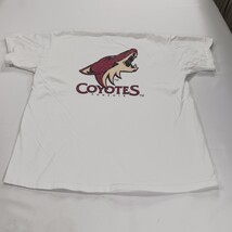 Fruit Of The Loom Phoenix Coyotes Men's White Cotton Graphic T-Shirt Size XL image 14