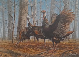 Majestic Trio - Wild Turkeys by David Maass - 1981 Wild Turkey Stamp Print, arti - £68.15 GBP