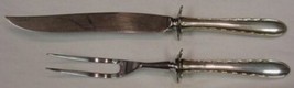 Silver Flutes by Towle Sterling Silver Steak Carving Set 2pc 10 3/4&quot; Knife - $2,011.43 MXN