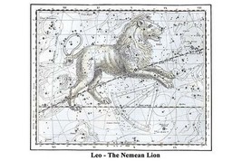 Leo - The Nemean Lion by Alexander Jamieson - Art Print - £17.17 GBP+