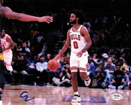 Coby White signed 8x10 photo PSA/DNA Chicago Bulls Autographed - £31.59 GBP