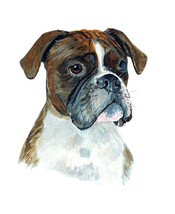 Boxer Dog Vinyl Decal Sticker for Car/Truck Laptop or Phone - $6.95+