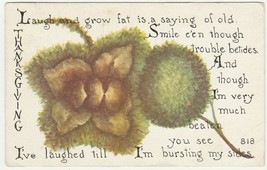 Vintage Postcard Thanksgiving Black Walnut F.A. Owen 1913 - £6.31 GBP