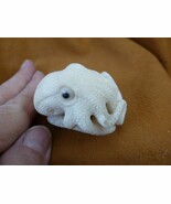 (TB-OCTO-18) white Octopus ball TAGUA NUT palm figurine Bali Oce reef oc... - $57.96