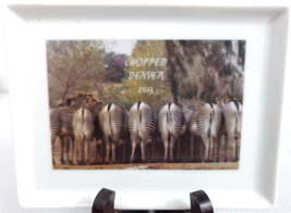 Very Cute Vintage Decorative - Saucer Plate With A Picture Of A Zebra Rear - £3.13 GBP