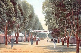Santa Catalina California CA~AVALON-CANVAS-TENT CITY~1909 Postcard - £7.29 GBP