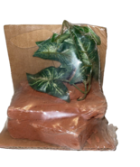 Rep tiles Ledge with Plant ^&quot; tall Snakes Lizards Iguanas Hermit Crabs R... - $13.49 CAD