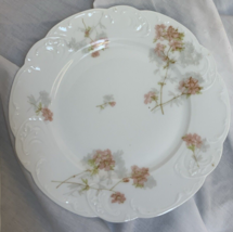 11 Haviland Limoges One (1) Luncheon Plate T.Z Cook &amp;Laurance Co Cedar R... - £62.18 GBP