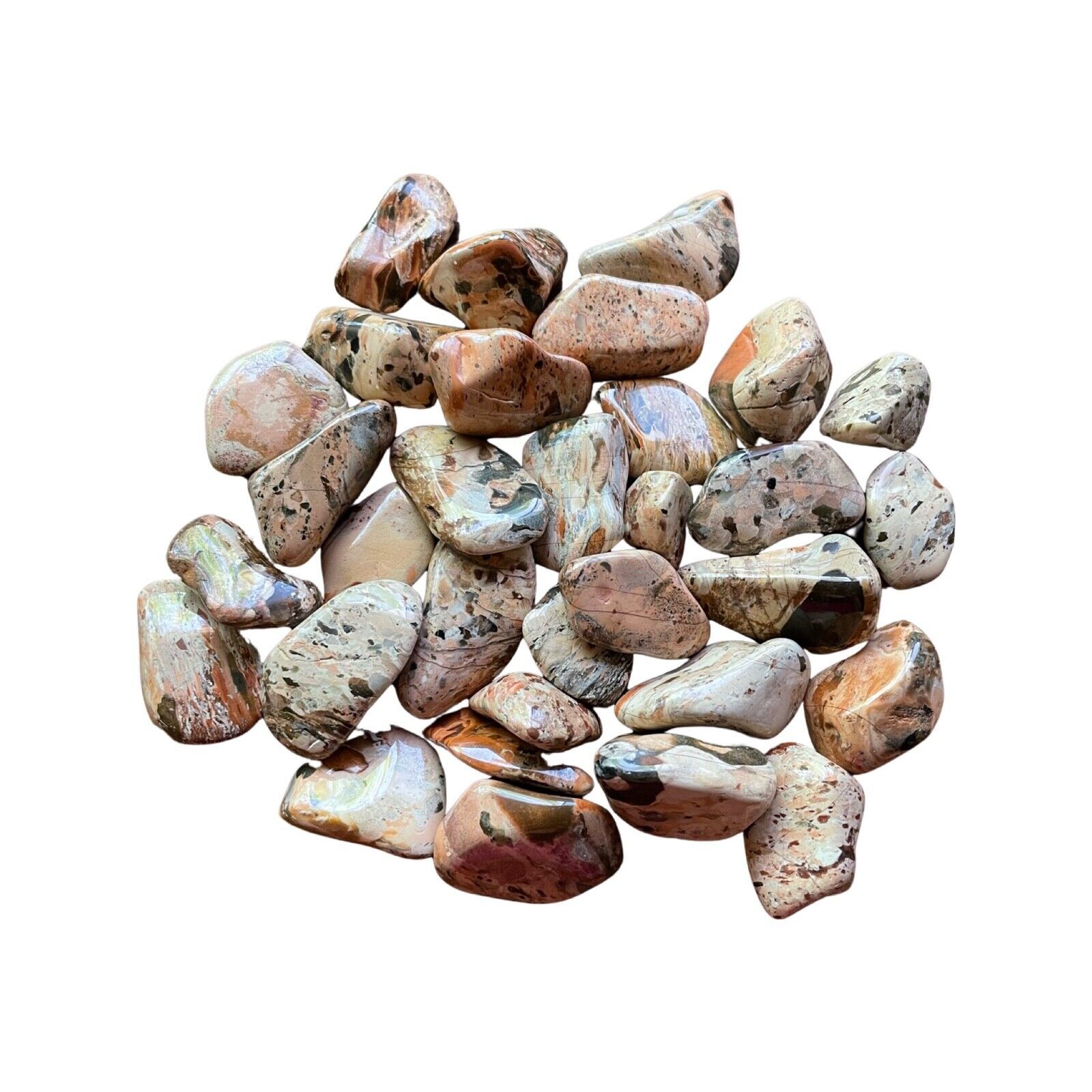 One White Brecciated Jasper 25-30mm Tumbled Stone Healing Crystal Dreamwork - $1.93