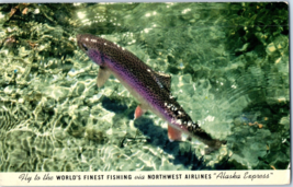 Giant Alaskan Katmai Rainbow Trout Postcard - £5.51 GBP