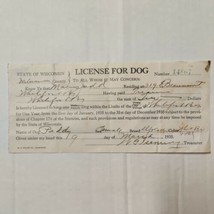 State Of Wisconsin USA License For Dog &quot;PADDY&quot; - March 1935 Vintage Dog License - £28.10 GBP