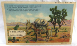 Curt Teich Comic Linen Postcard 4AH925 Ten Ft From Hell Bless Our Desert... - $2.96